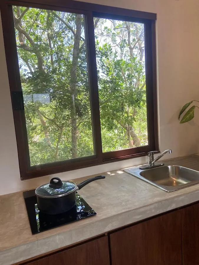 Basic Tulum La Veleta Apartment 0*,