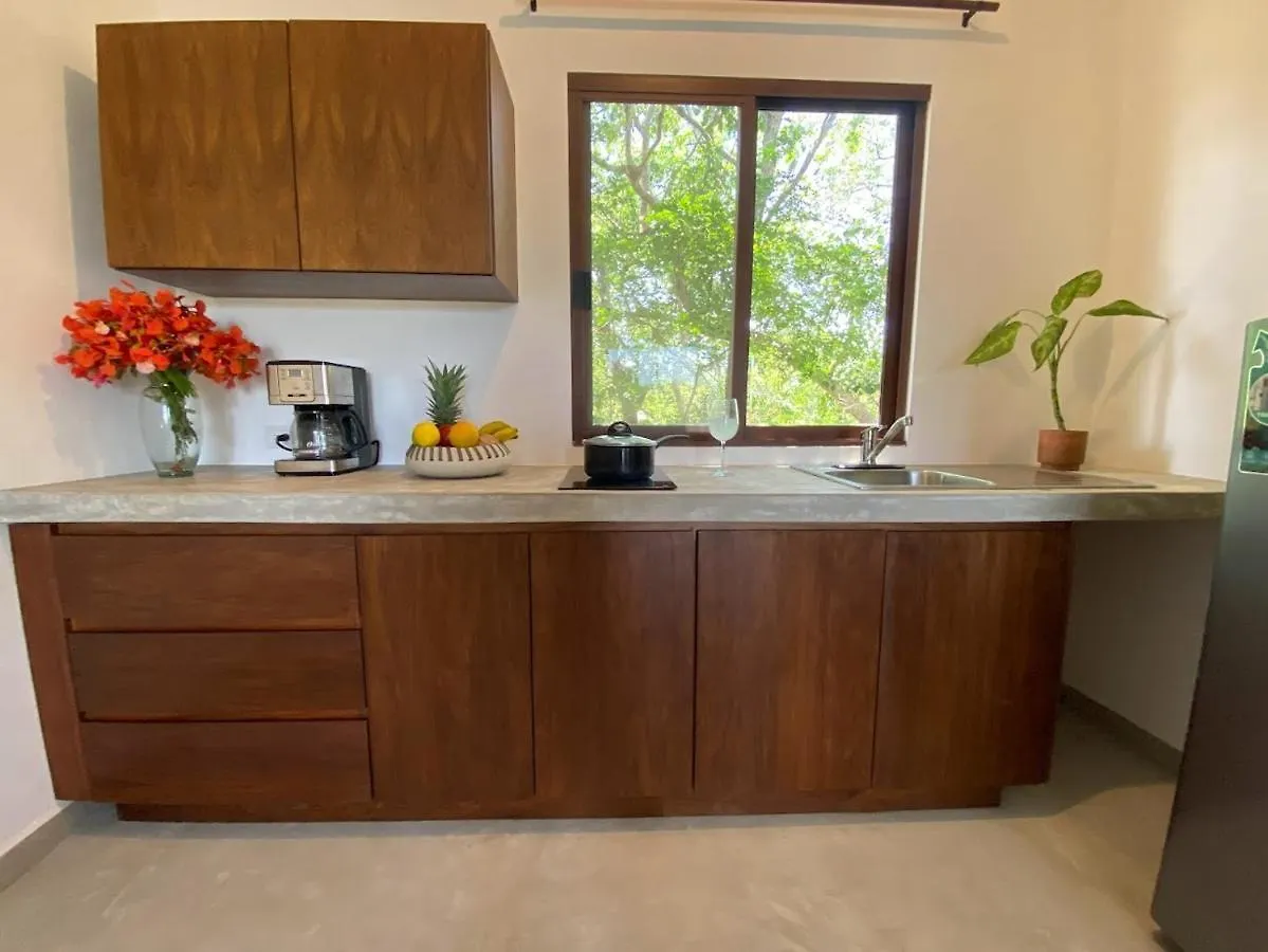Basic Tulum La Veleta Apartment Mexico