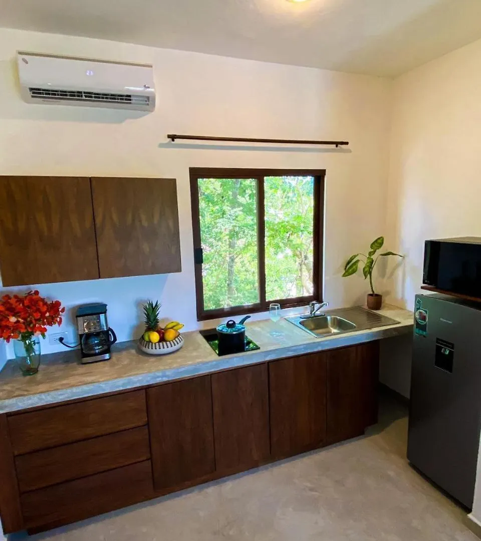 Basic Tulum La Veleta Apartment